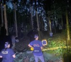 Un trabajador rural murió mientras talaba un eucalipto