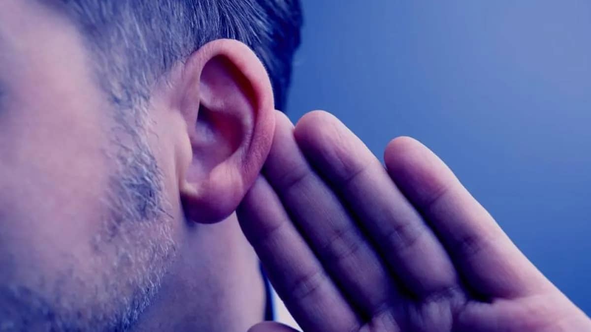 Cómo el cerebro entiende cuando se habla en ambientes ruidosos