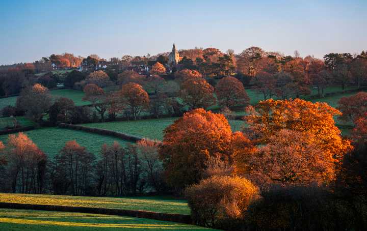 How to endure November