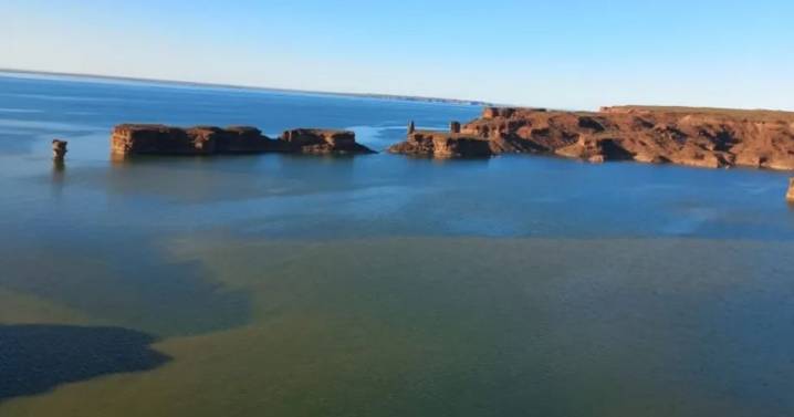 Alerta por cianobacterias en El Chocón: la AIC advierte qué sectores evitar por riesgo para la salud