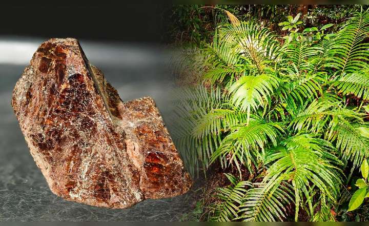 China revoluciona la industria minera al descubrir un elemento clave formado por tierras raras