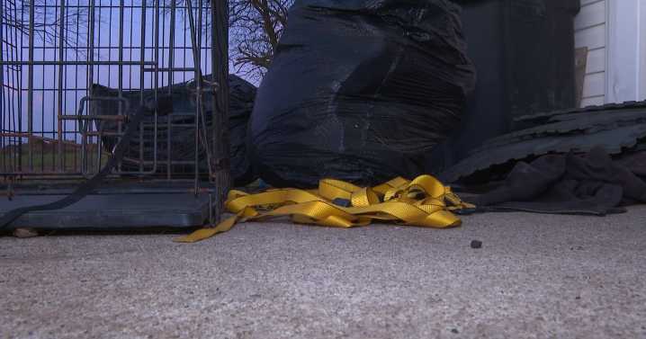 CMHS will keep dogs taken from Sanders' property for 7 days