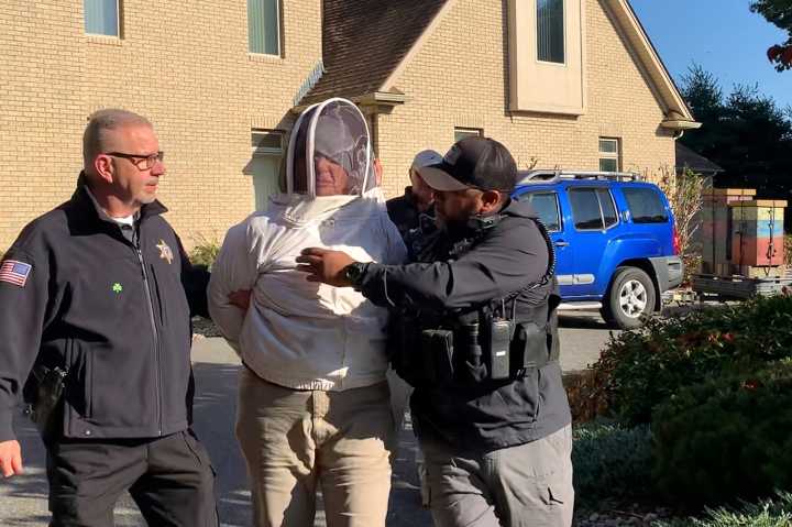 ‘Bee lady’ due back in Springfield months after fleeing region on trial day