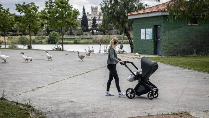 Gripe aviar: el alcalde solicita mantener la distancia con los patos del Parque del Río