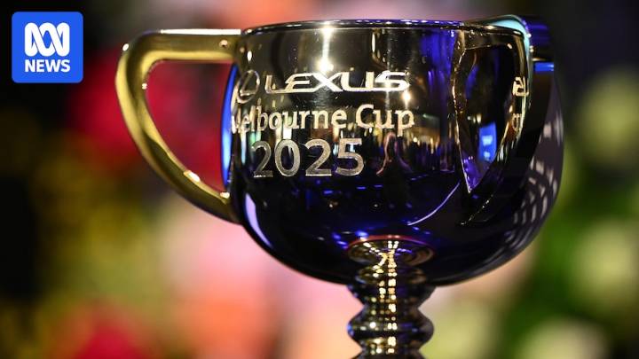 Melbourne Cup 2025 finishing order from first to last, Jamie Melham wins on Half Yours