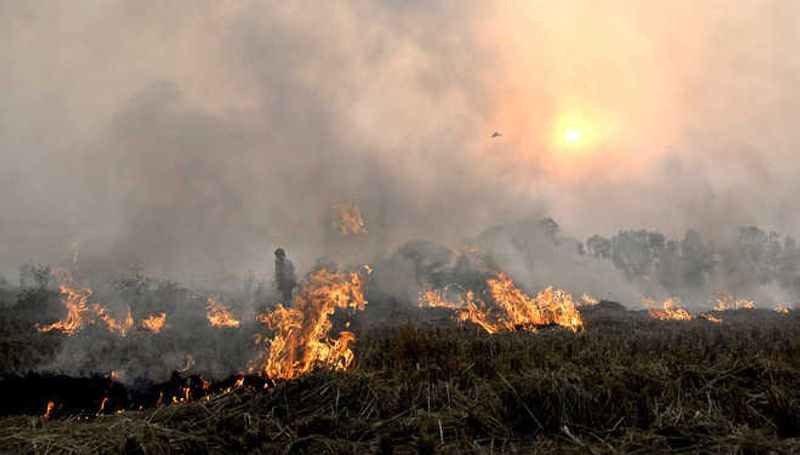 Delhi-NCR air pollution: SC to hear on Monday plea on stubble burning