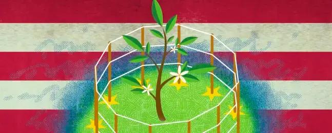 A una década del Acuerdo de París, América Latina llega a la COP30 con una deuda climática pendiente