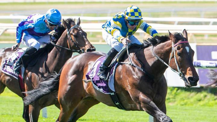 Pat Carbery on track for return to saddle after race fall last week, rides Jokers Grin in Winterbottom Stakes