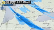 Southern Ontario faces new round of snow squalls before weekend storm