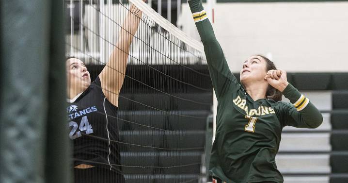 Ross coach of the year; four locals selected HAC volleyball all stars