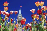 BREAKING: 2026-2028 Immigration Levels Plan will include new measures to grant PR to temporary residents