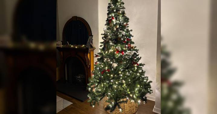 'I'm a mum and keep my climbing-loving toddler away from Christmas tree easily'