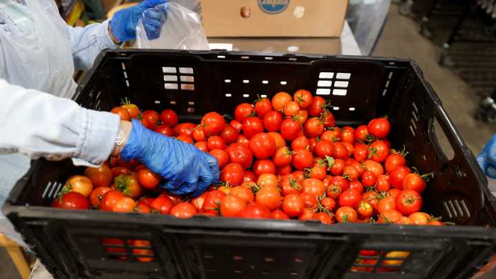 Oregon sues USDA over guidance on SNAP changes