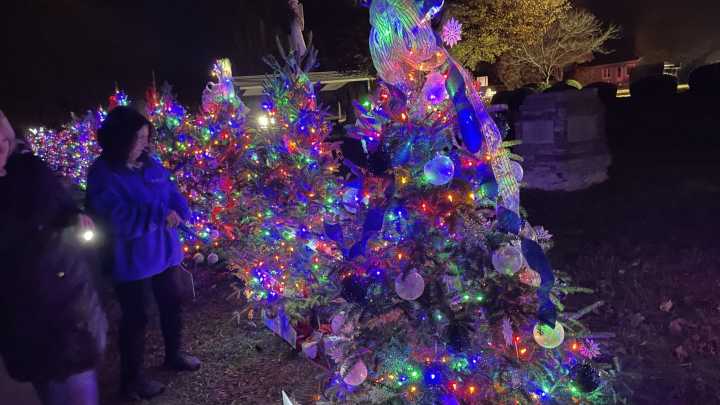 Your 2025 guide to Monroe County's Christmas events, Santa appearances