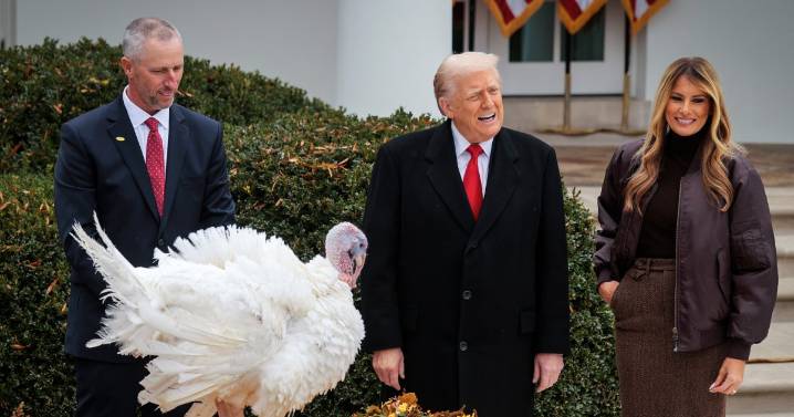 Trump adds two Thanksgiving turkeys to his long list of second
