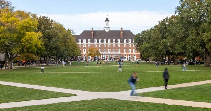 University enrollment in Illinois grows to 10-year high despite some declines