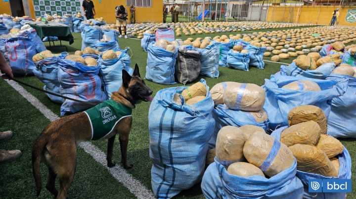 Decomiso inédito en Antofagasta: incautan 4 toneladas de marihuana tras fatal volcamiento de camión