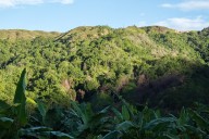 Cinco datos que debes conocer sobre Herencia Colombia