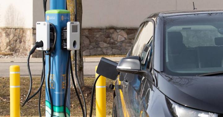 New U.S. policy pulls back from renewables as energy demand swells