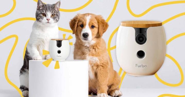 This £15 pet cam lets you check on your furry bestie - and it's now on sale for Black Friday