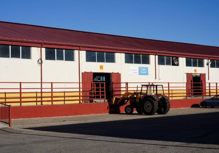 Castilla y León prorroga hasta el 30 las medidas por la dermatosis, con flexibilidad para festejos taurinos