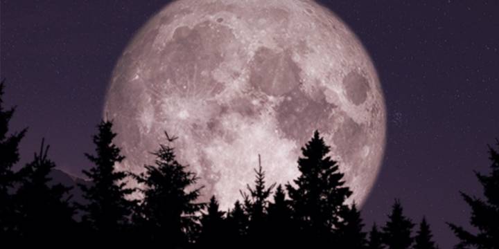 La superluna de noviembre 2025 será la más brillante y cercana del año: cómo observarla