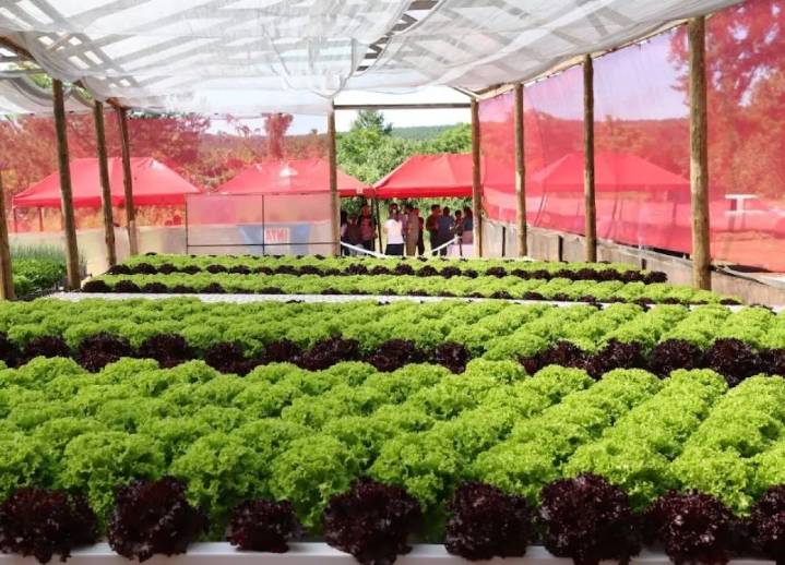 Eldorado inauguró el CITECH, un nuevo polo de innovación y desarrollo tecnológico para Misiones