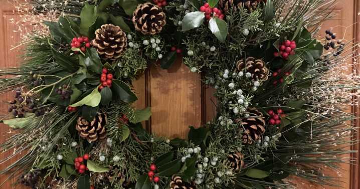 Why are hummingbird numbers declining?