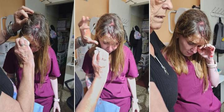 Córdoba: una mujer atacó con una tenaza a una veterinaria tras una discusión por un medicamento para conejos