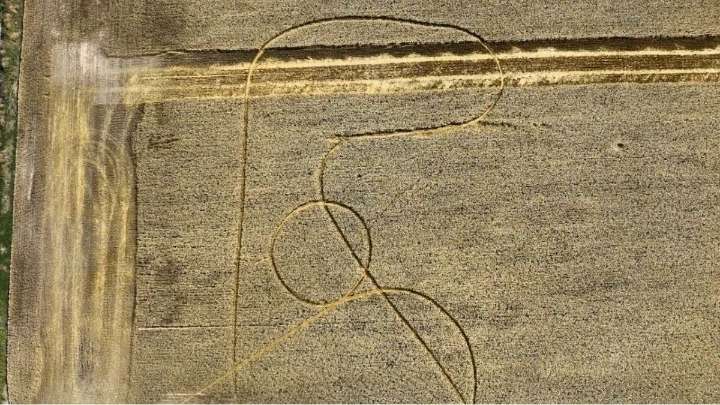 En dos campos santafesinos aparecieron marcas de ¿extraterrestres?: fotos impactantes