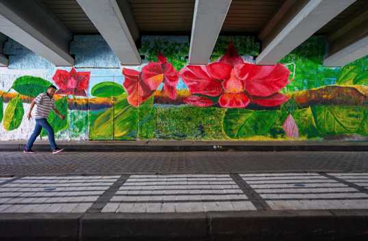 Inauguran Bajo Puente de la Calle 53 con NQS