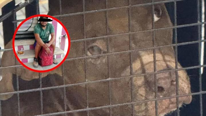 Detienen a hombre acusado de abusar de una perrita a plena luz del día en Cancún