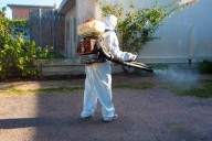 Aumentan a 155 los casos de dengue en la Región Centro de Coahuila en lo que va del año