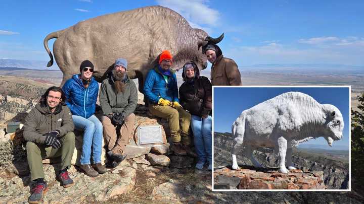 Shot Up And Vandalized Over The Years, Buffalo Statue Overlooking Cody Restored