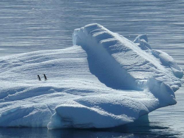 Southern ocean’s winter carbon emissions underestimated by up to 40%
