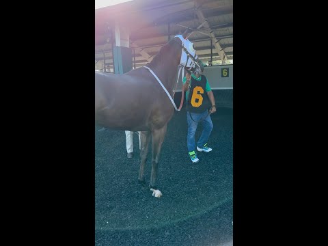 100th Anniversary of Tampa Bay Downs