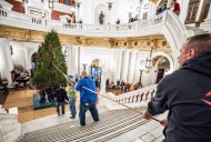 Pa.’s Christmas tree completes another delicate dance into the Capitol