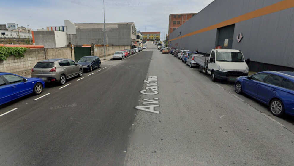 Un perro sin cadena ni vacunas muerde a una mujer en Santander