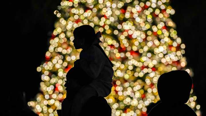 'Tis the season for holiday events in the desert. See our guide