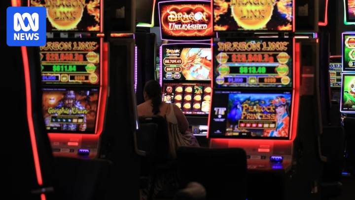 Calls for football clubs to divest from pokies with more than $110 million lost to machines