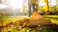 Tired Of Raking? This Nifty Tool Will Change The Way You Clean Up Fallen Leaves