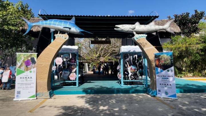 Una escuela que forma a los nuevos héroes de la abuela Tierra