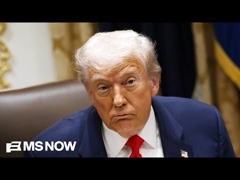 ‘Shows how unhinged he is!’: GOP strategist calls out Trump on his treatment of female reporters 