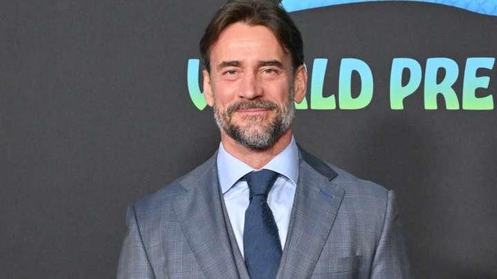 Identity Of Masked Man Who Stomped CM Punk At WWE Survivor Series Reportedly Revealed