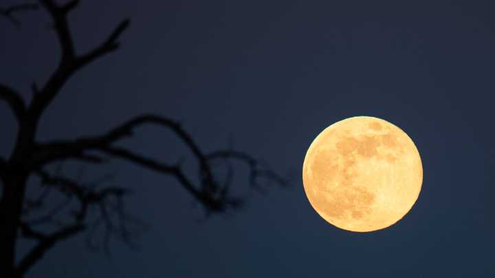 How to view Taurid, Leonids meteor shower, full moon in November