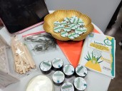 Escuela Angelina Salas de Chañaral, participa en la Expociencias Nacional Chile 2025