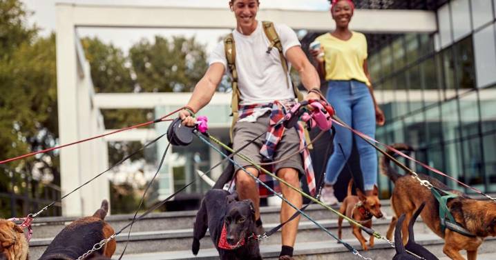 Utahns join national trend in turning to 'side hustles' to supplement employment income