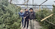 Niagara Falls Lions Club launches annual Christmas tree campaign