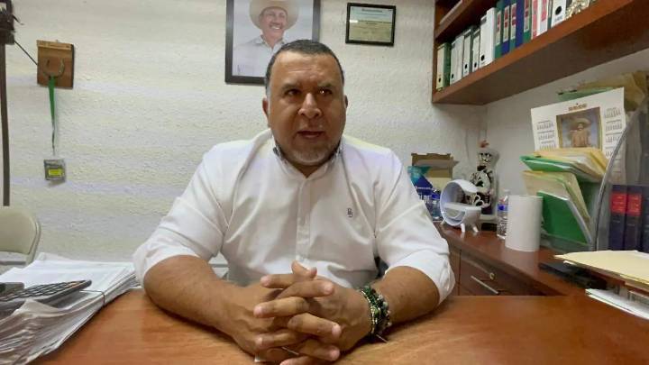 Zafra en Casasano: cañeros esperan producir más de 5 millones de toneladas