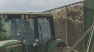 Sweet success: Lafourche cane farmers see strong harvest